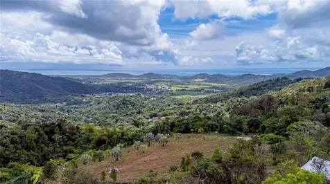 Naranjo Ward Int. Pr 984 Fajardo PR 00738