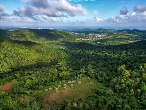 Naranjo Ward Int. Pr 984 Fajardo PR 00738