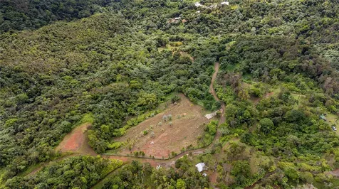 Naranjo Ward Int. Pr 984 Fajardo PR 00738