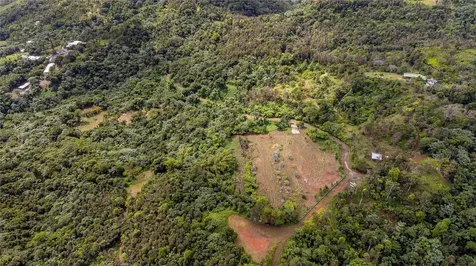 Naranjo Ward Int. Pr 984 Fajardo PR 00738