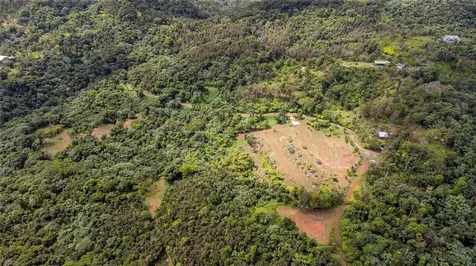 Naranjo Ward Int. Pr 984 Fajardo PR 00738