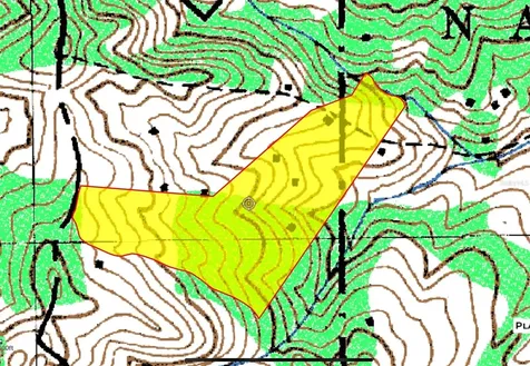 Naranjo Ward Int. Pr 984 Fajardo PR 00738