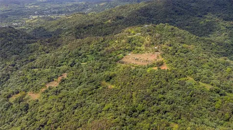 Naranjo Ward Int. Pr 984 Fajardo PR 00738