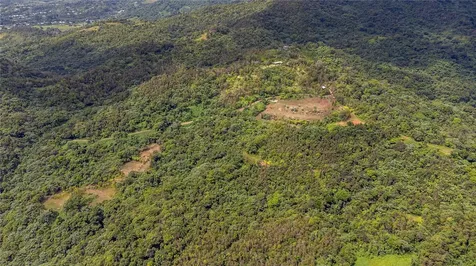 Naranjo Ward Int. Pr 984 Fajardo PR 00738