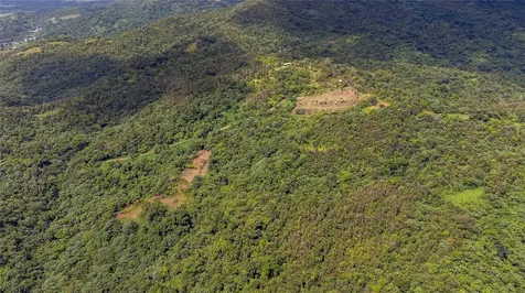 Naranjo Ward Int. Pr 984 Fajardo PR 00738