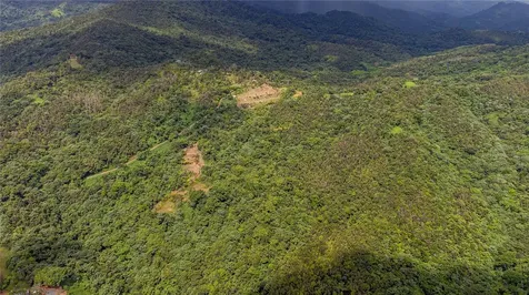 Naranjo Ward Int. Pr 984 Fajardo PR 00738