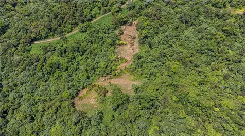 Naranjo Ward Int. Pr 984 Fajardo PR 00738