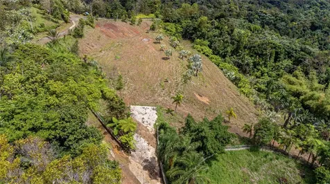 Naranjo Ward Int. Pr 984 Fajardo PR 00738