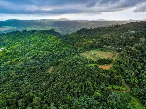 Naranjo Ward Int. Pr 984 Fajardo PR 00738