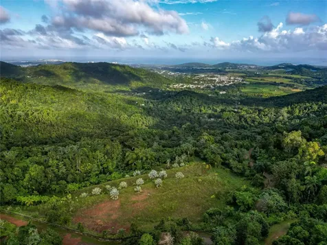 Naranjo Ward Int. Pr 984 Fajardo PR 00738