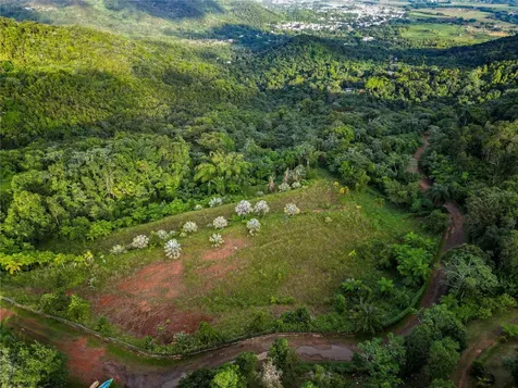 Naranjo Ward Int. Pr 984 Fajardo PR 00738