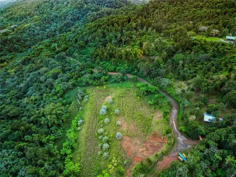Naranjo Ward Int. Pr 984 Fajardo PR 00738