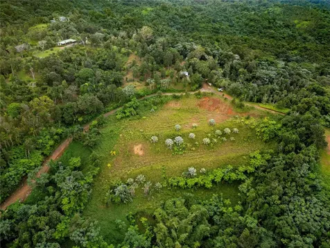 Naranjo Ward Int. Pr 984 Fajardo PR 00738