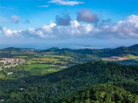 Naranjo Ward Int. Pr 984 Fajardo PR 00738