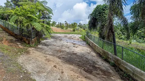 Naranjo Ward Int. Pr 984 Fajardo PR 00738