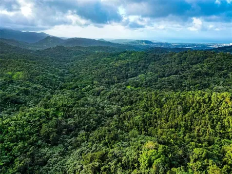 Naranjo Ward Int. Pr 984 Fajardo PR 00738