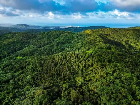 Naranjo Ward Int. Pr 984 Fajardo PR 00738
