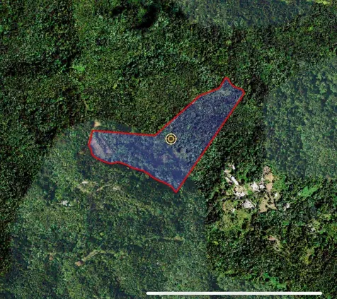 Naranjo Ward Int. Pr 984 Fajardo PR 00738