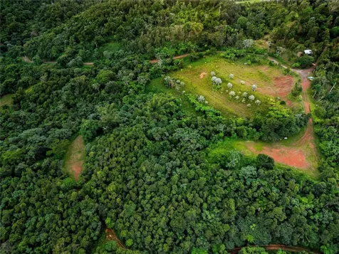 Naranjo Ward Int. Pr 984 Fajardo PR 00738