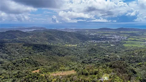 Naranjo Ward Int. Pr 984 Fajardo PR 00738