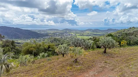 Naranjo Ward Int. Pr 984 Fajardo PR 00738