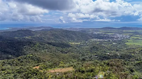 Naranjo Ward Int. Pr 984 Fajardo PR 00738