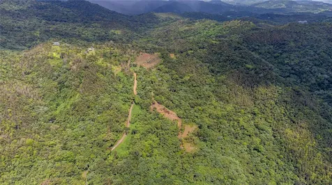 Naranjo Ward Int. Pr 984 Fajardo PR 00738