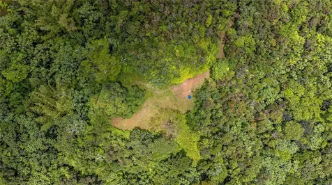 Naranjo Ward Int. Pr 984 Fajardo PR 00738