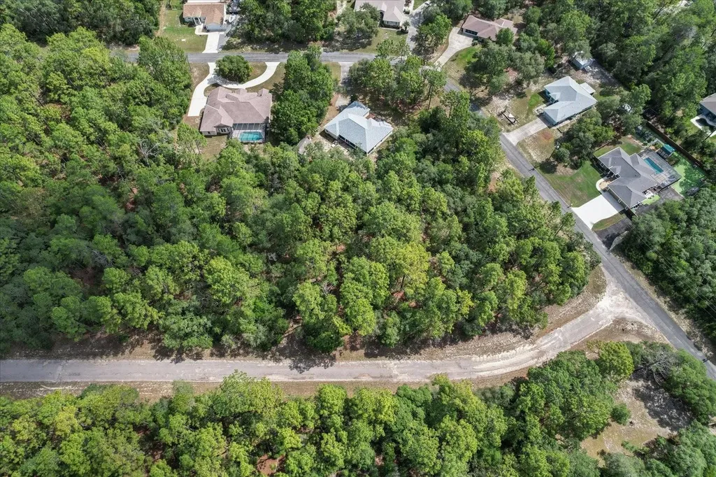 3621 W Norwick Place Citrus Springs FL 34433