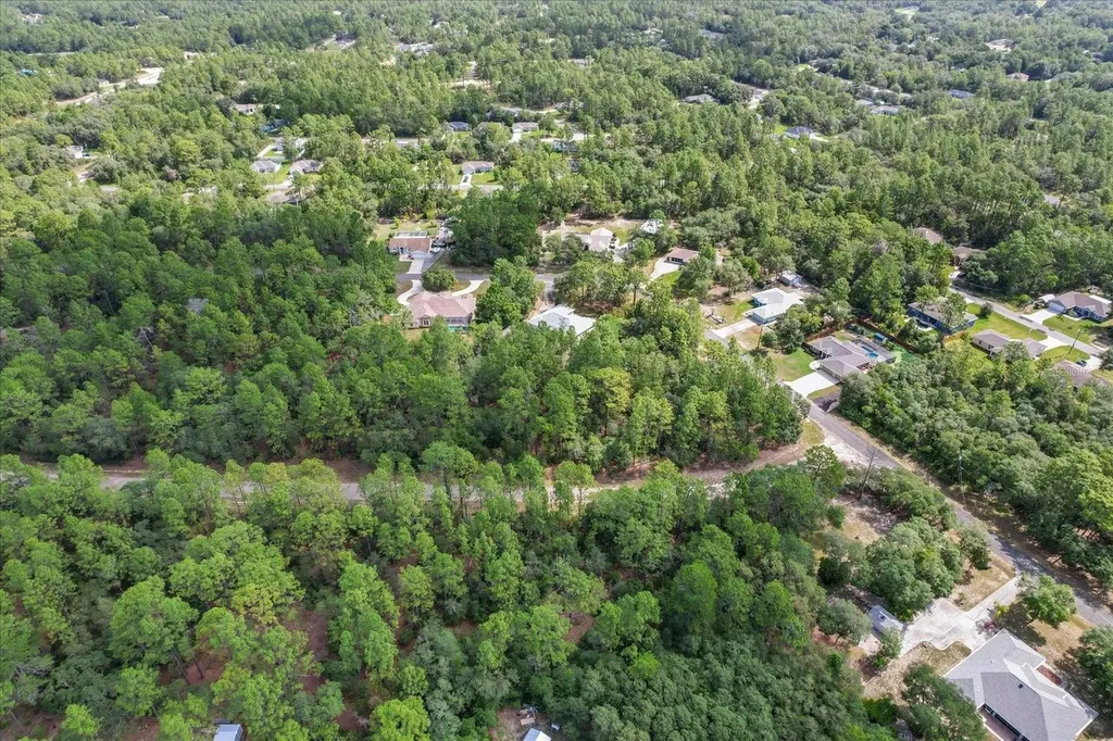3621 W Norwick Place Citrus Springs FL 34433