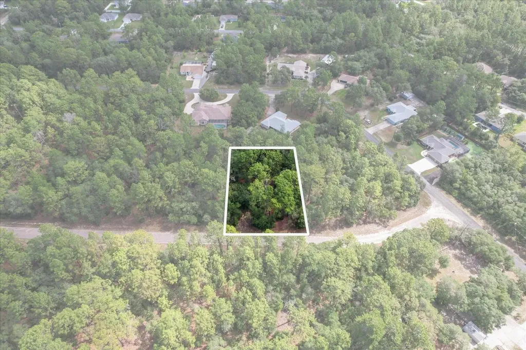3621 W Norwick Place Citrus Springs FL 34433