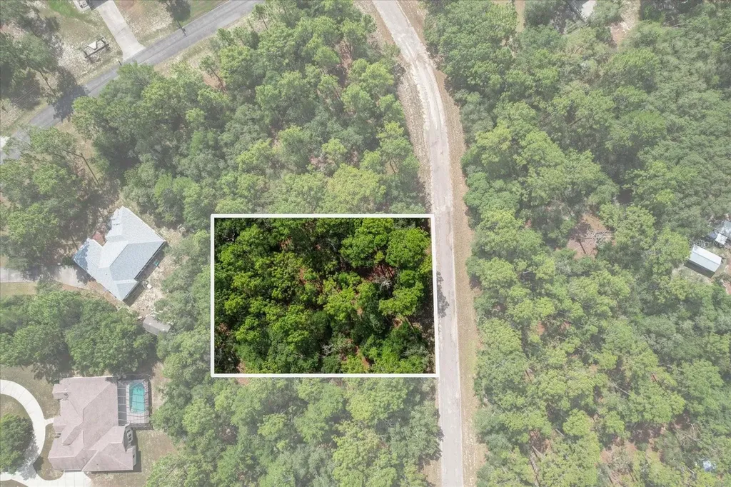 3621 W Norwick Place Citrus Springs FL 34433