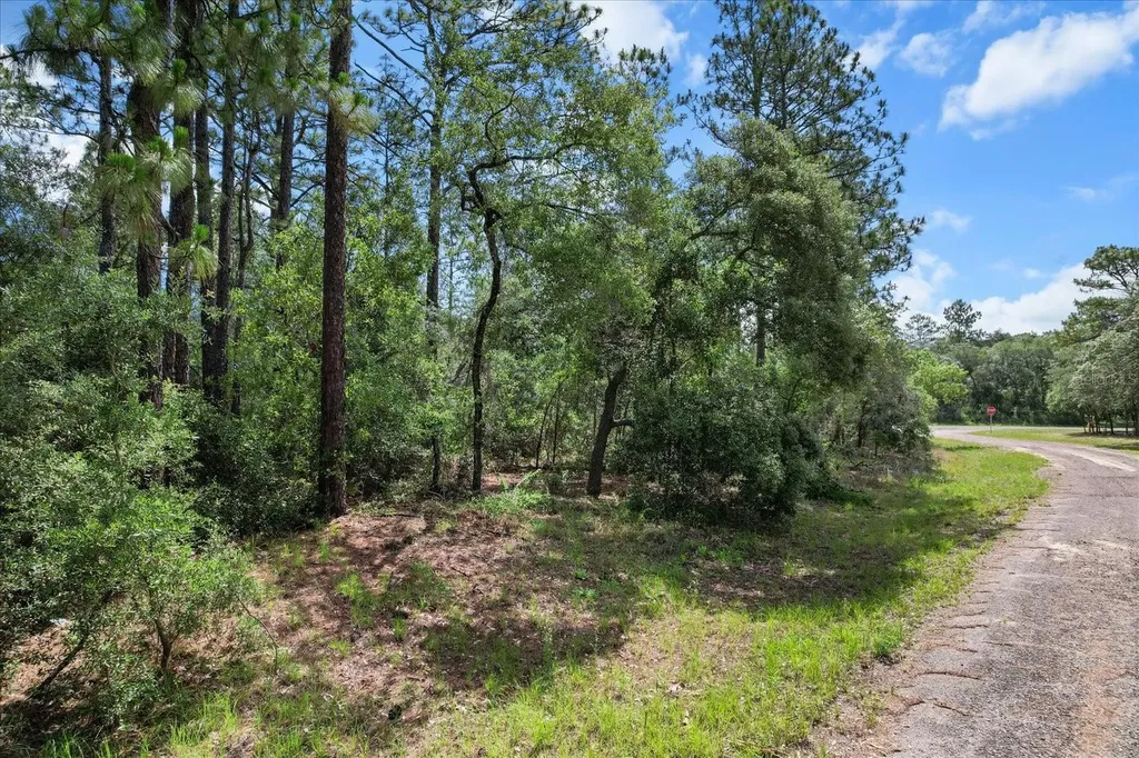 3621 W Norwick Place Citrus Springs FL 34433