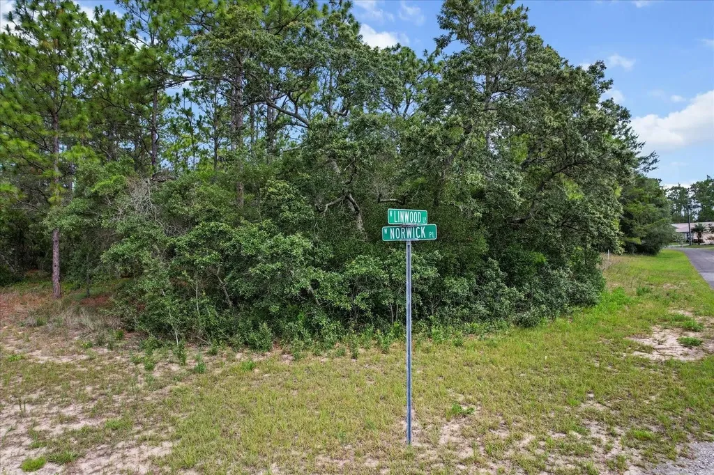 3621 W Norwick Place Citrus Springs FL 34433