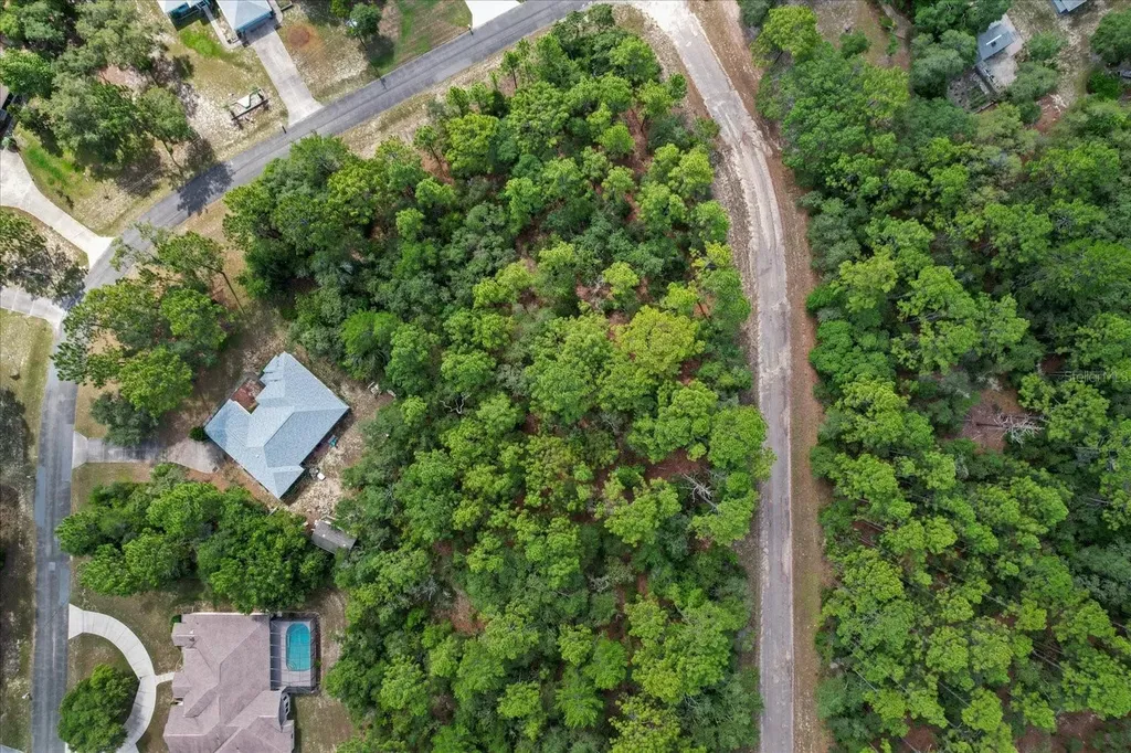 3621 W Norwick Place Citrus Springs FL 34433