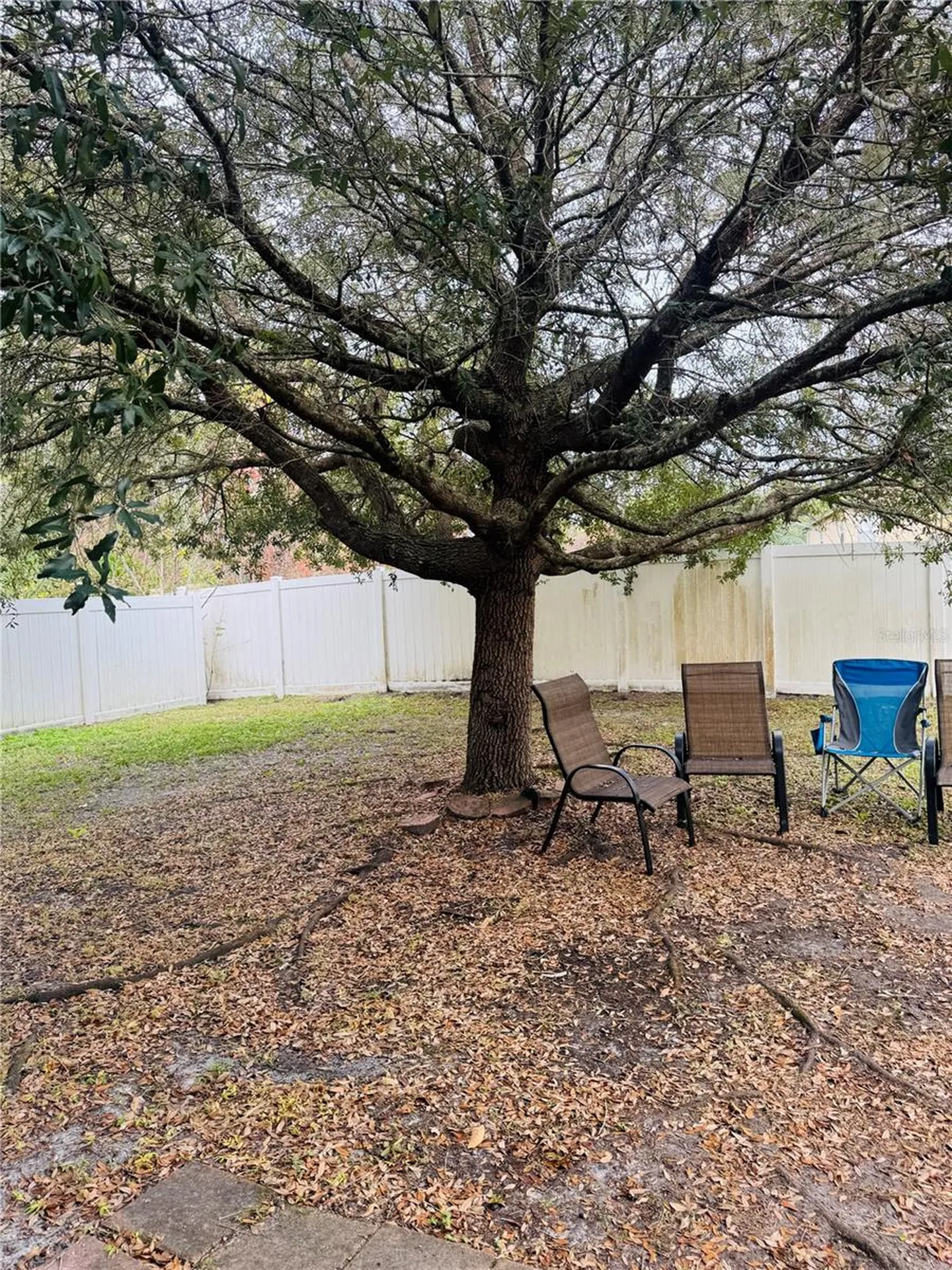 15269 Galbi Drive Orlando FL 32828