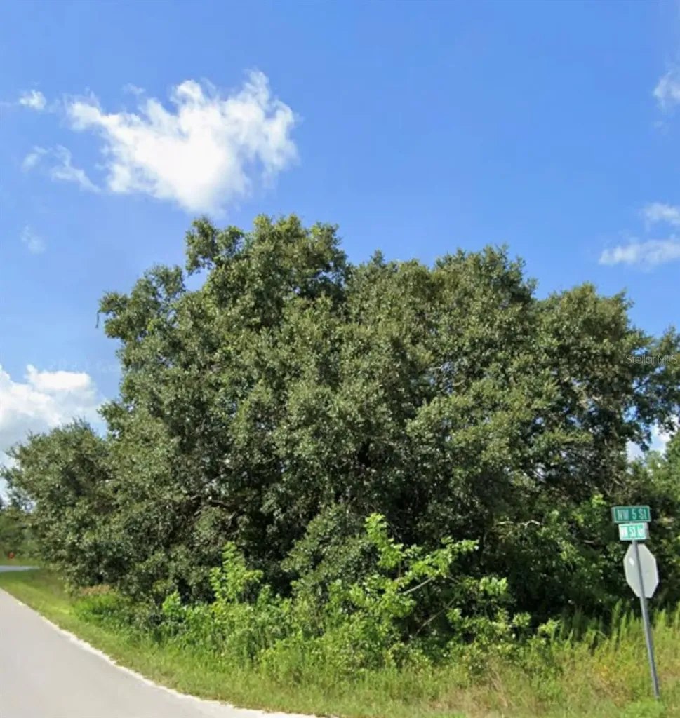 Tbd NW 5th Street Ocala FL 34482