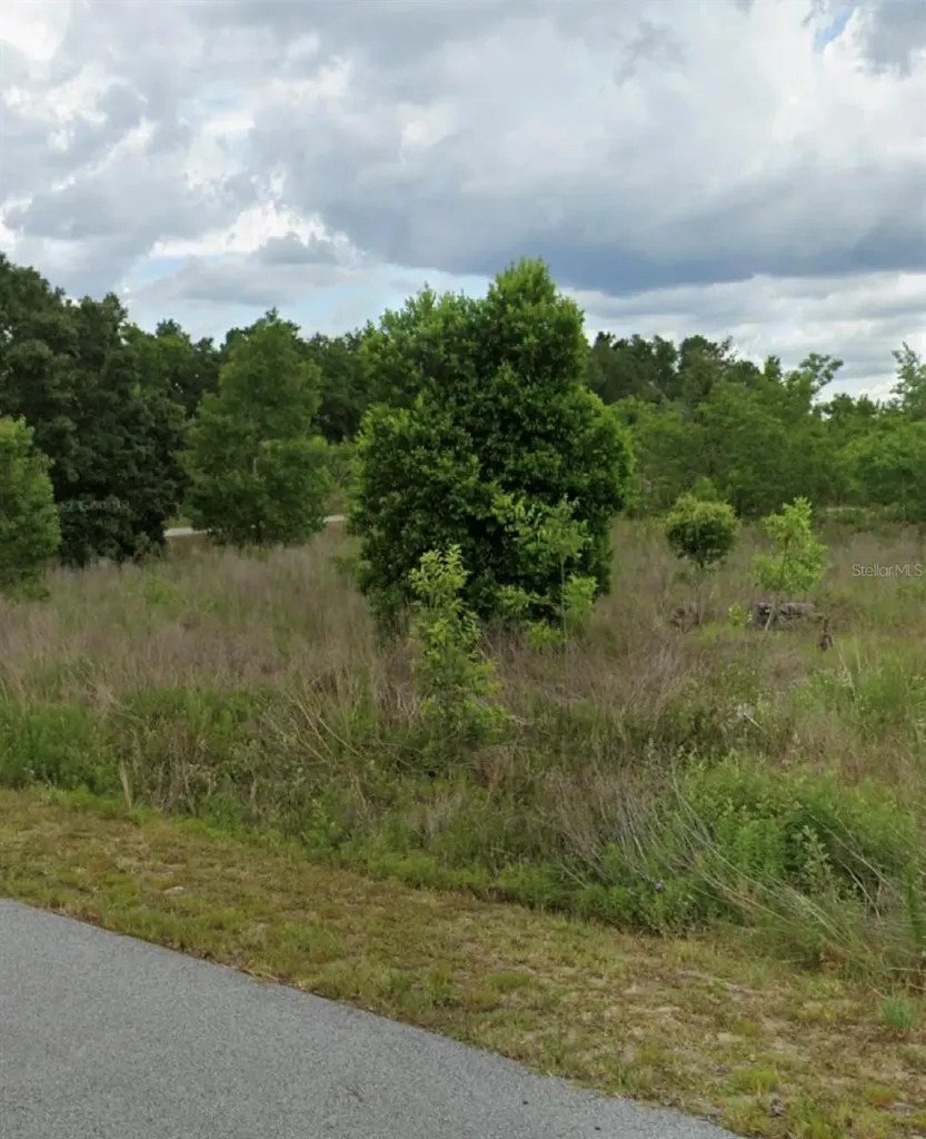 Tbd NW 5th Street Ocala FL 34482