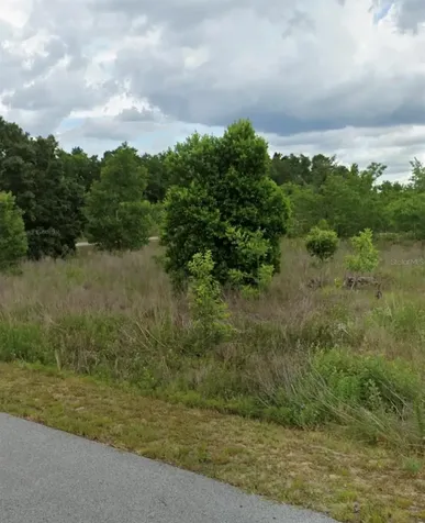Tbd NW 5th Street Ocala FL 34482