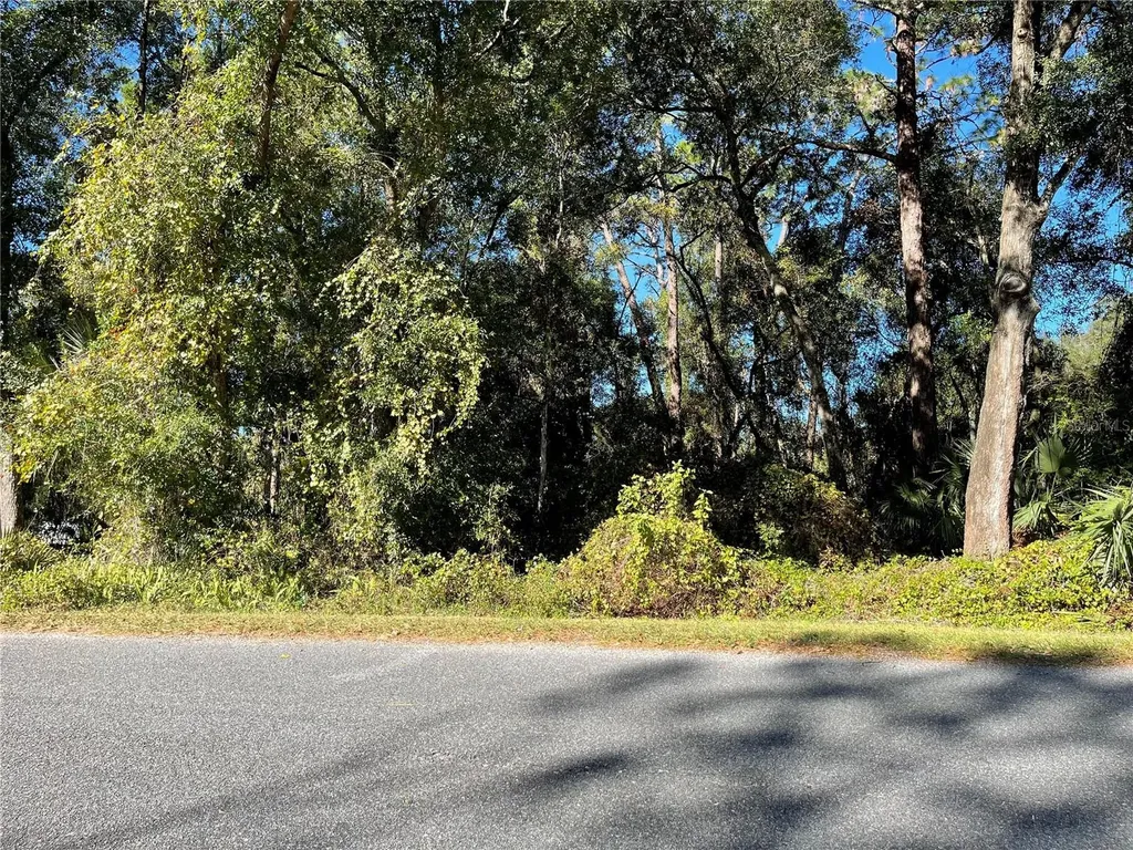 6954 SE 170th Avenue Road Ocklawaha FL 32179