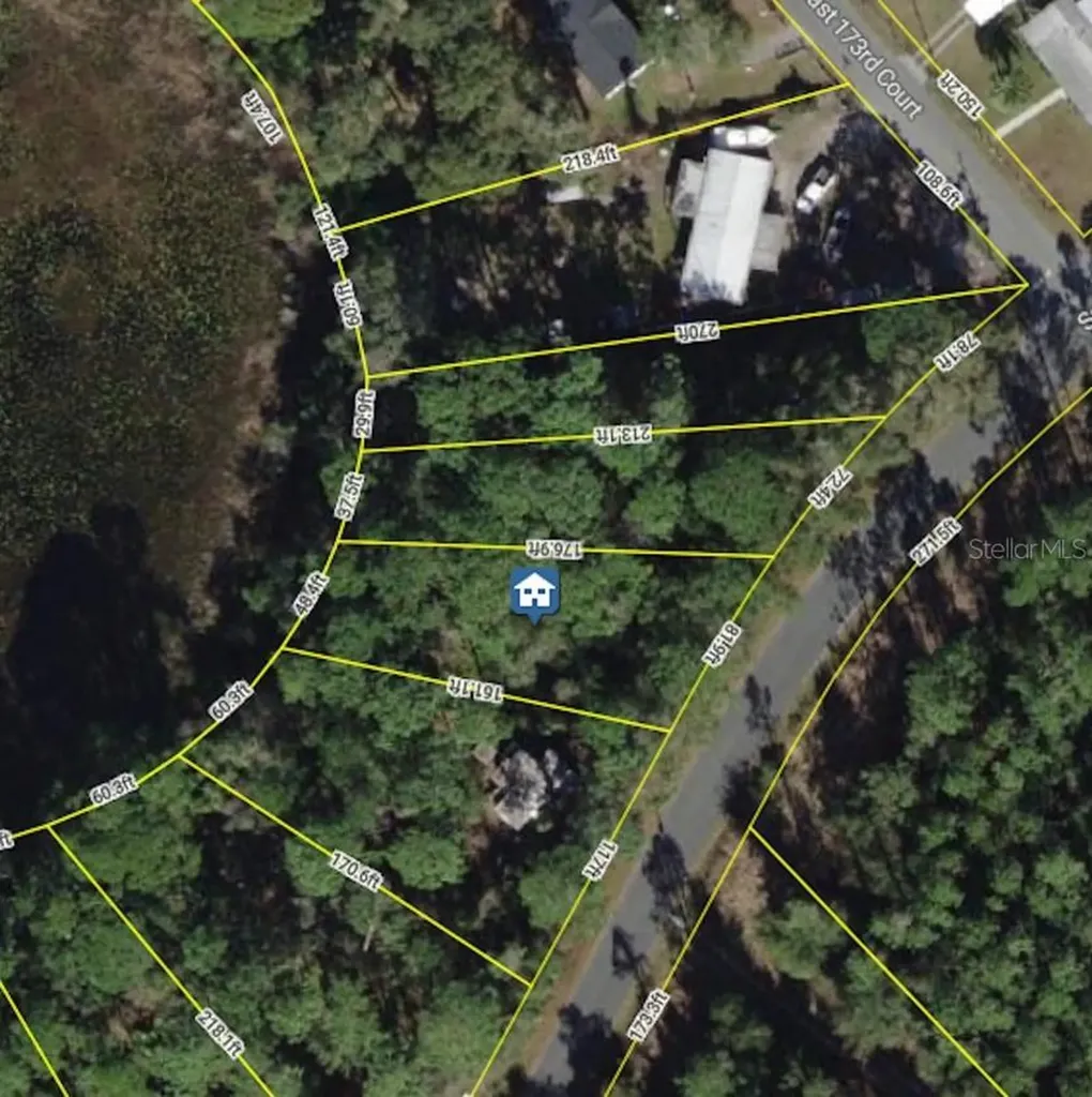 6954 SE 170th Avenue Road Ocklawaha FL 32179