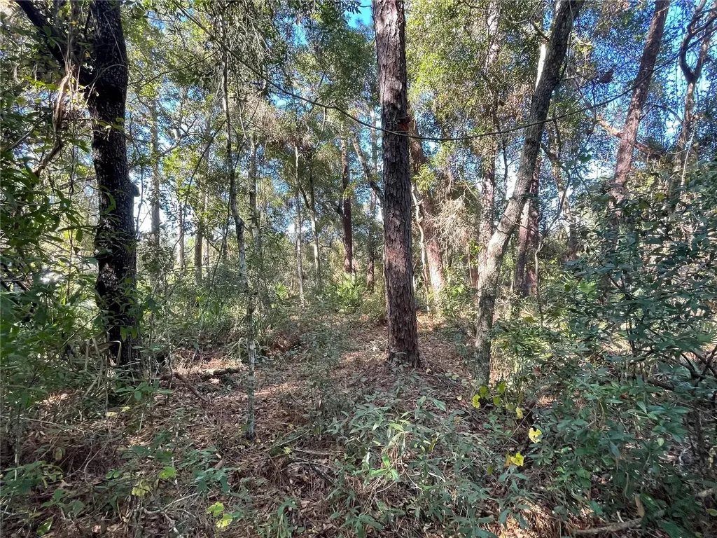 6954 SE 170th Avenue Road Ocklawaha FL 32179
