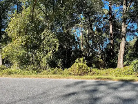 6954 SE 170th Avenue Road Ocklawaha FL 32179