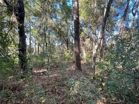 6954 SE 170th Avenue Road Ocklawaha FL 32179