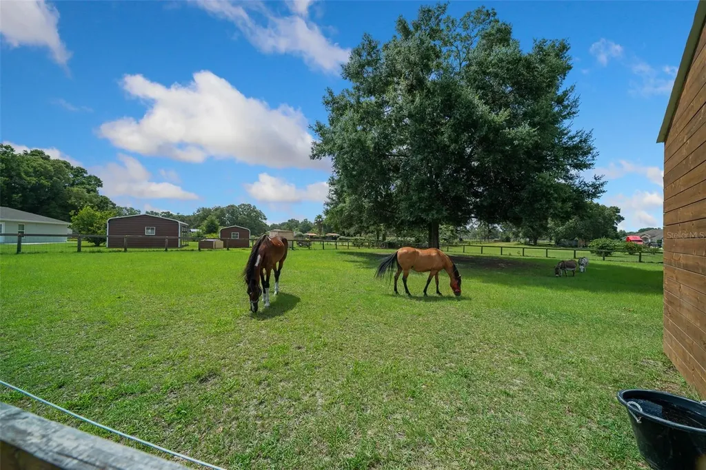 14130 SW 8th Avenue Ocala FL 34473