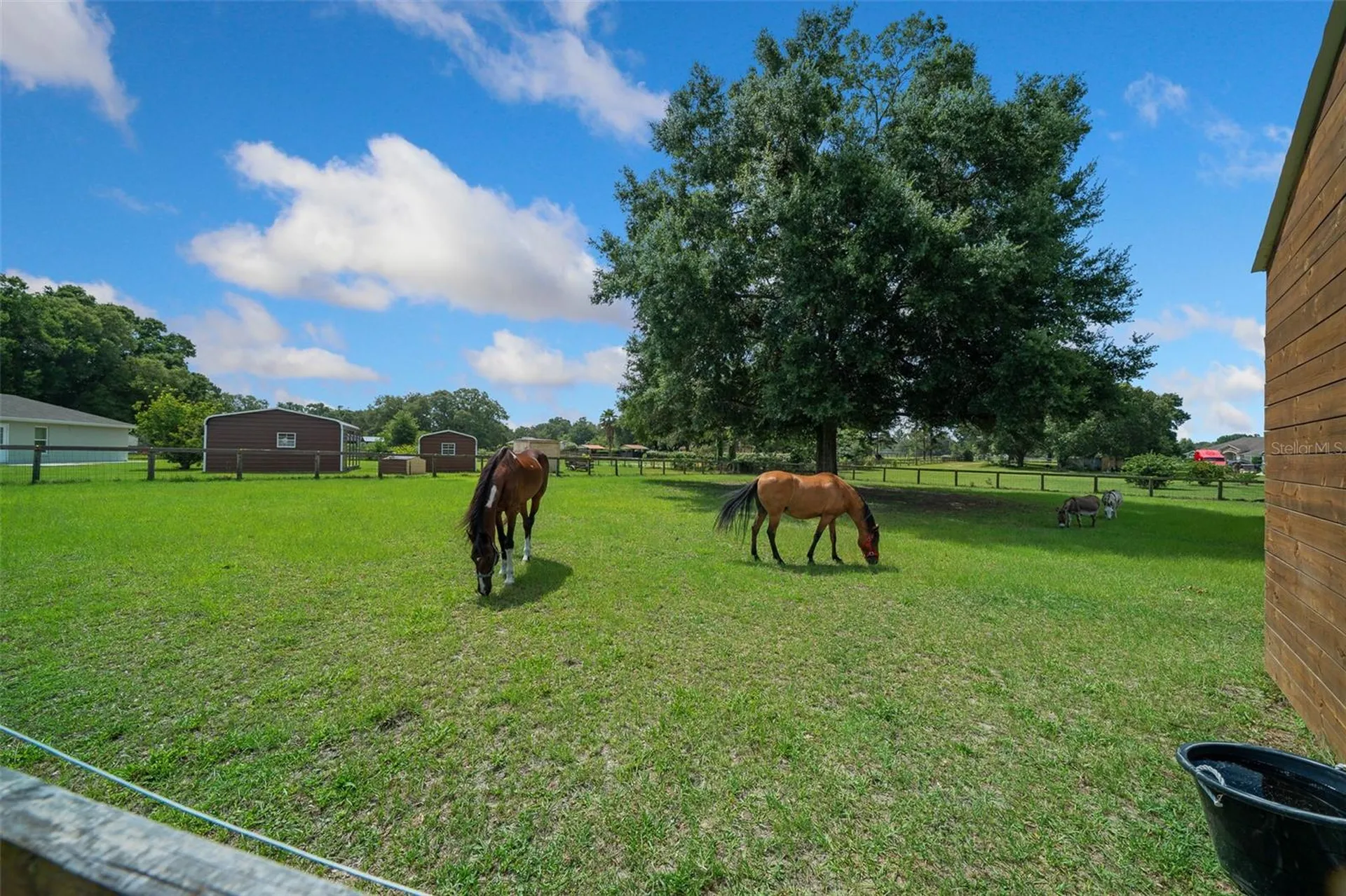 14130 SW 8th Avenue Ocala FL 34473
