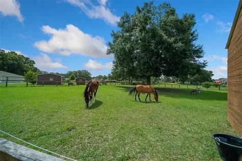 14130 SW 8th Avenue Ocala FL 34473