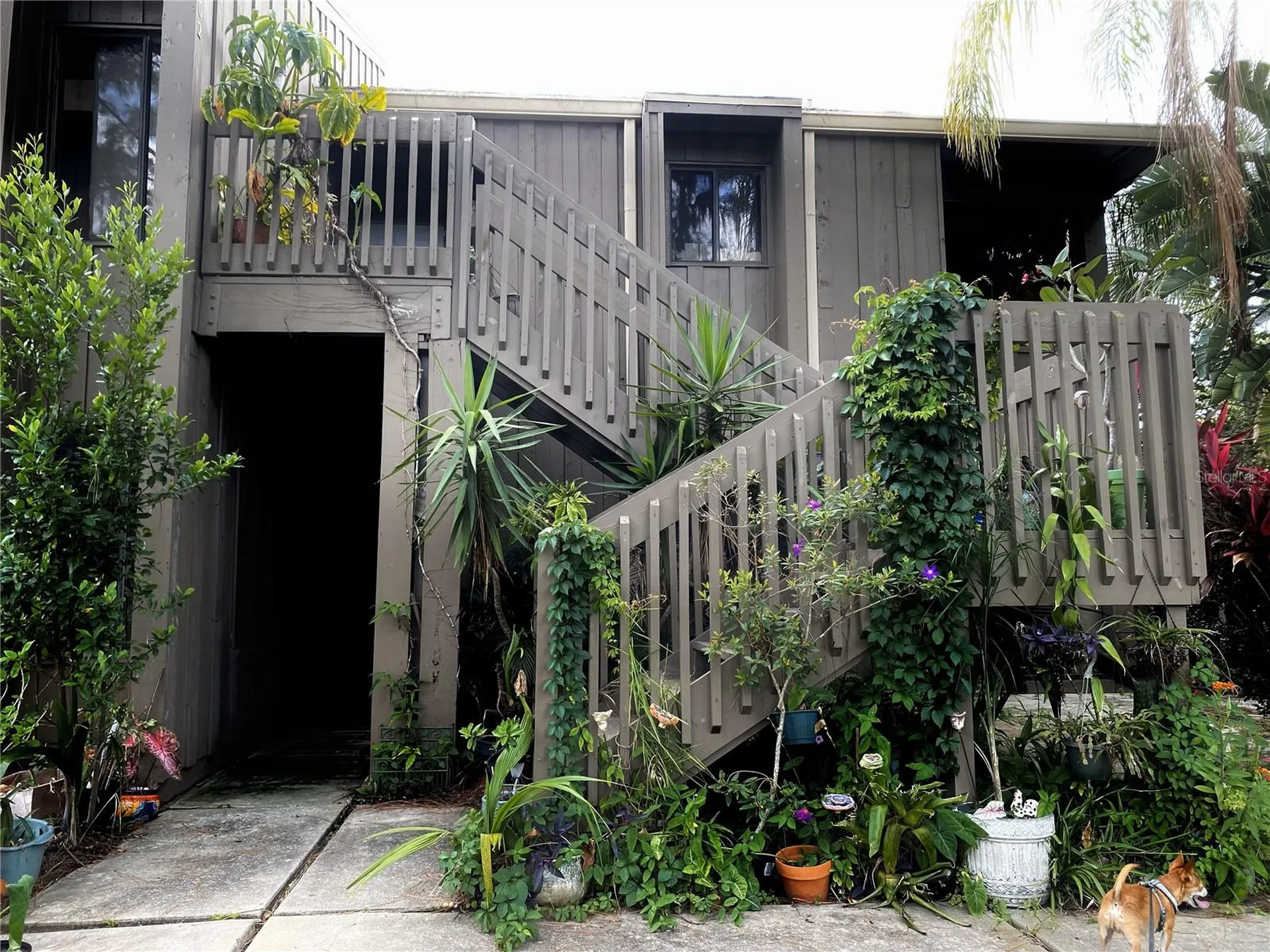 5302 Burning Tree Drive Orlando FL 32811