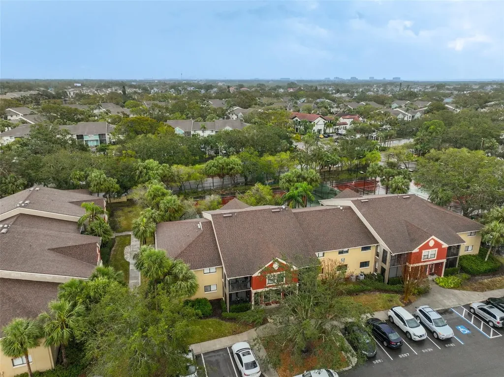 5557 Baywater Drive Tampa FL 33615
