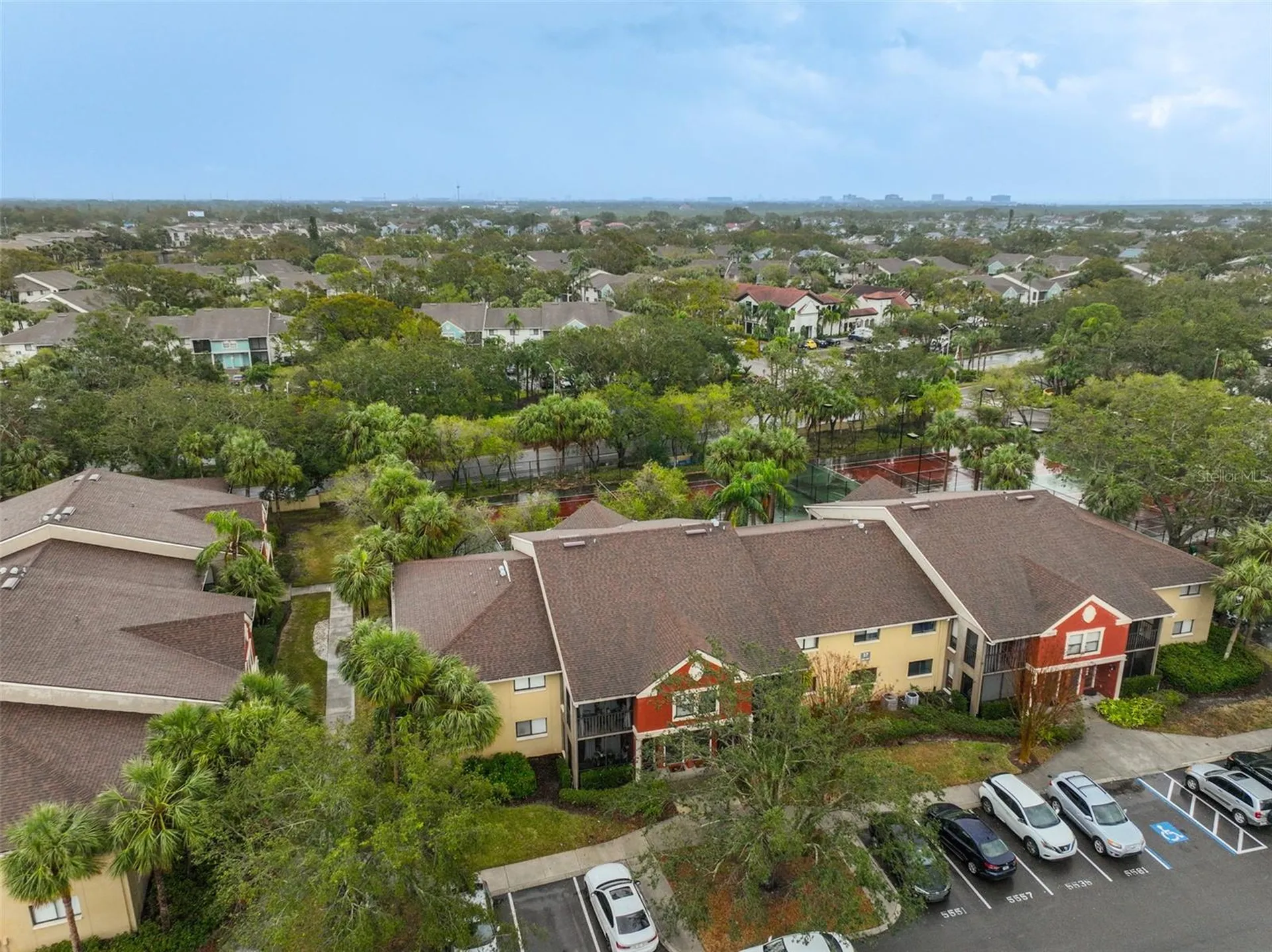 5557 Baywater Drive Tampa FL 33615